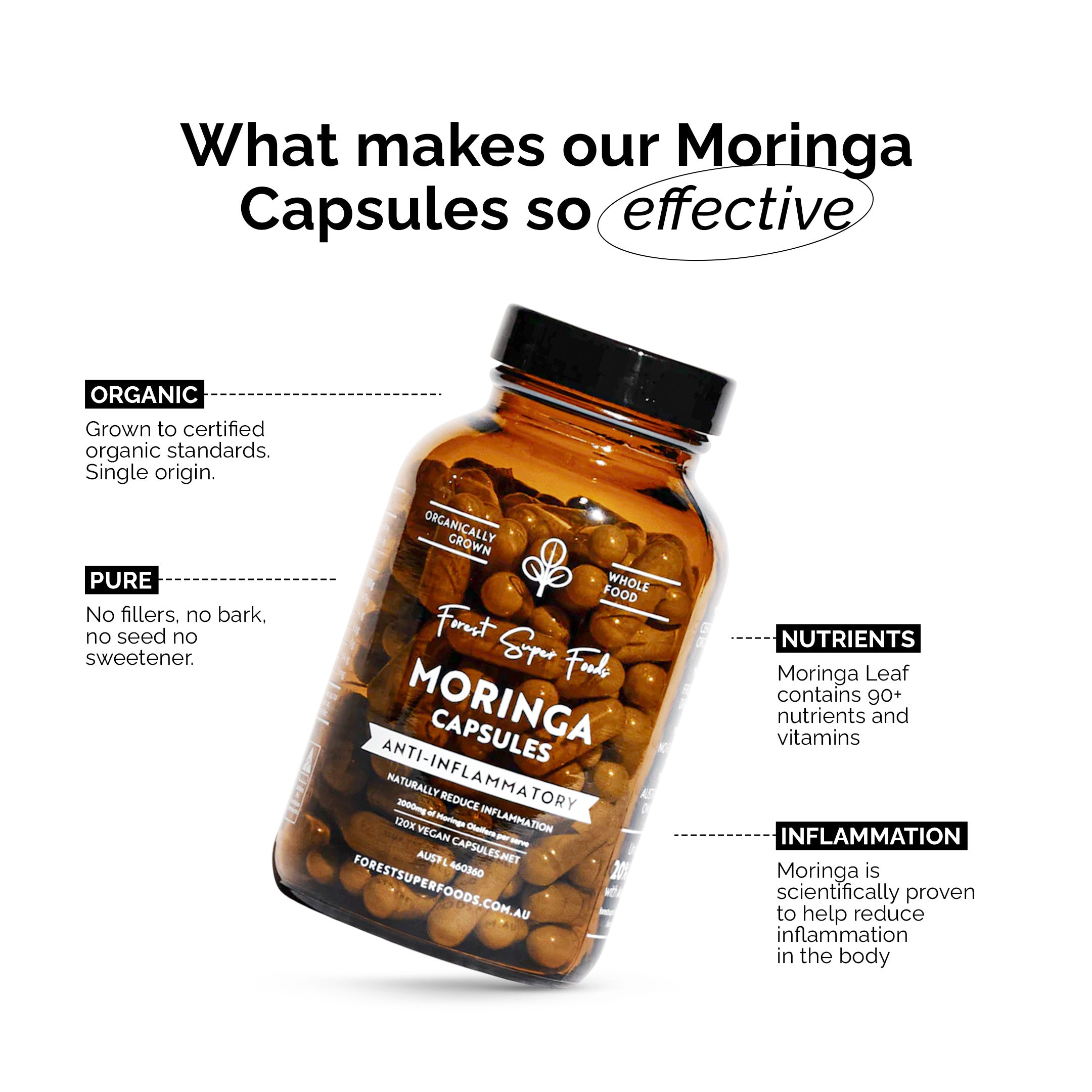 What makes our Moringa capsules so effective? 